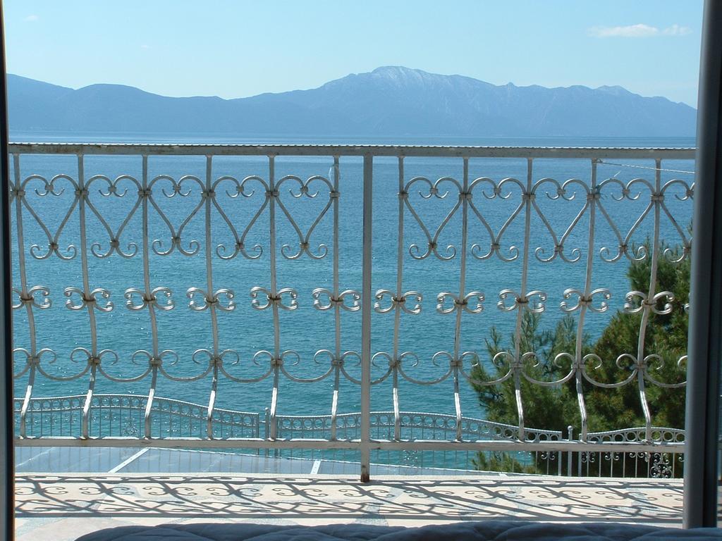 Guesthouse Kod Irene Gradac  Kültér fotó