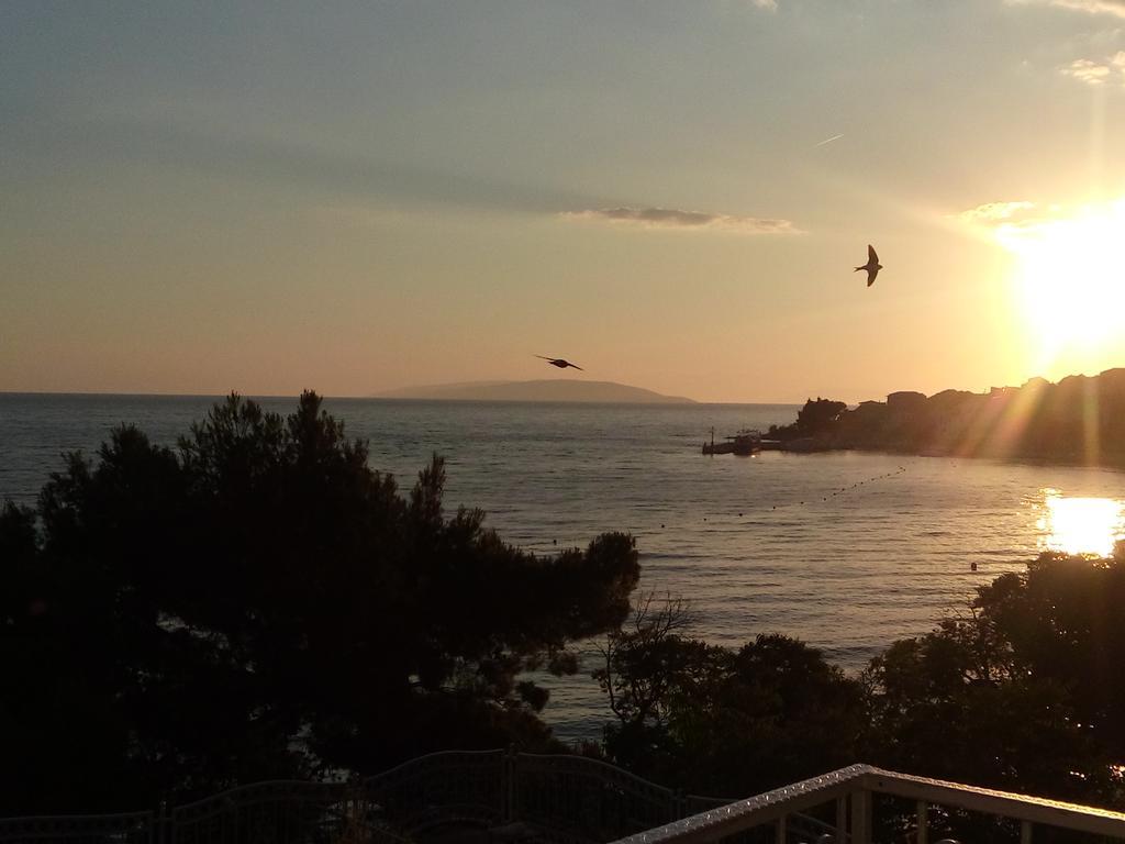 Guesthouse Kod Irene Gradac  Kültér fotó