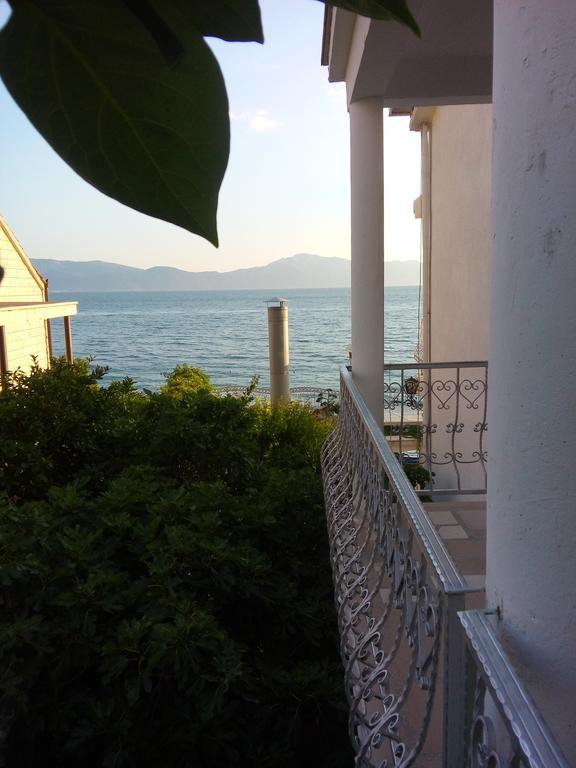 Guesthouse Kod Irene Gradac  Kültér fotó